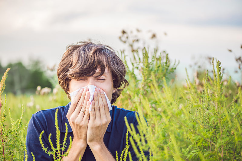 Gesichtsschutz vor Pollen